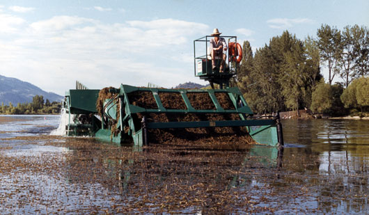 (photo of weed harvester)